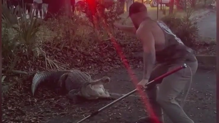 Florida MMA fighter uses attention from viral video of him wrangling massive alligator for greater cause