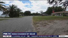 Man chased by bear runs to neighbors house