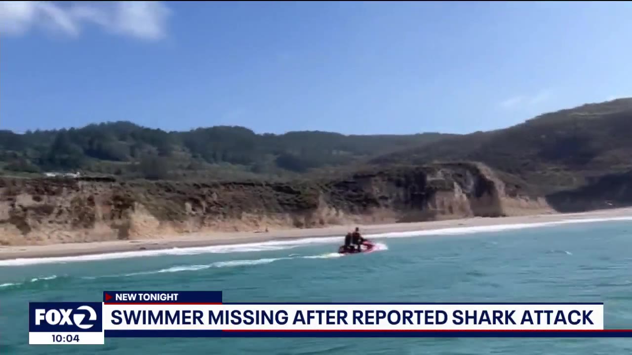 Alleged shark attack near Point Reyes National Seashore