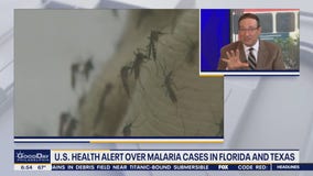 Health Watch: Malaria resurfacing in the US