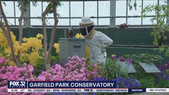 Garfield Park Conservatory has a jump start on spring