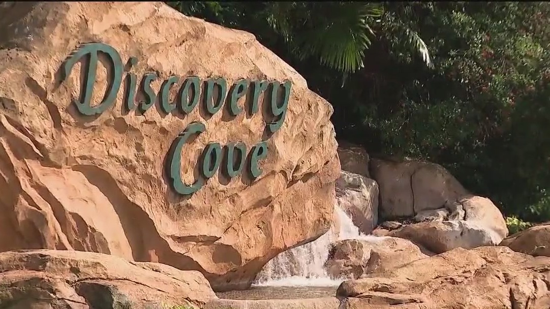 Teen found unresponsive in Discovery Cove pool