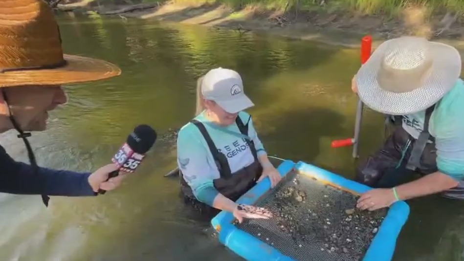 Hunt for fossils, shark teeth in this Florida river