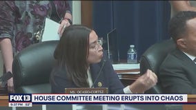 Chaos erupts at House committee meeting