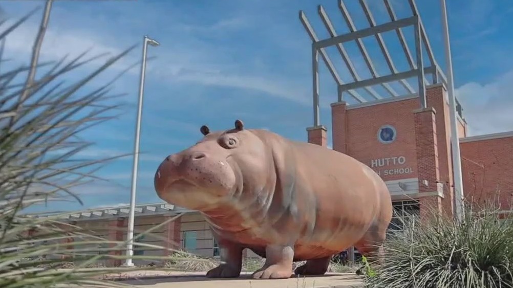 Hutto Hippos advance to final four of mascot contest