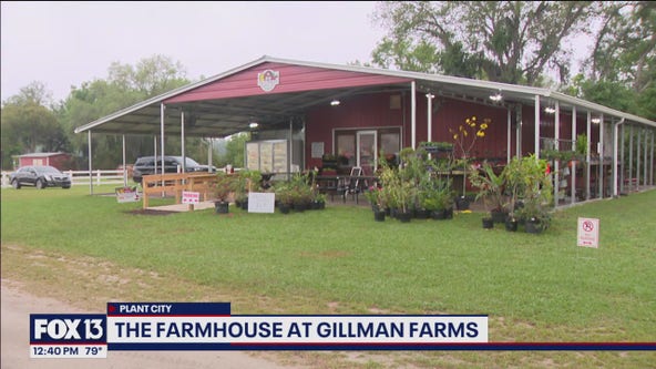 Gillman Farms opens locally sourced produce and dessert station