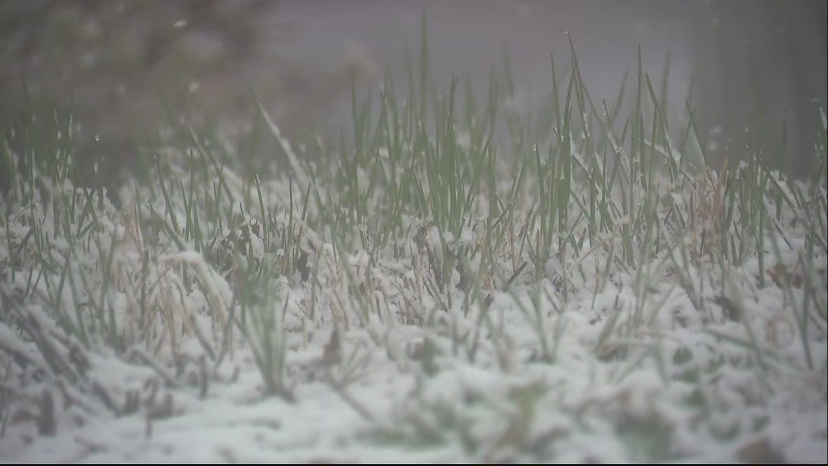 Winter's back -- Snow falls Monday in Metro Detroit