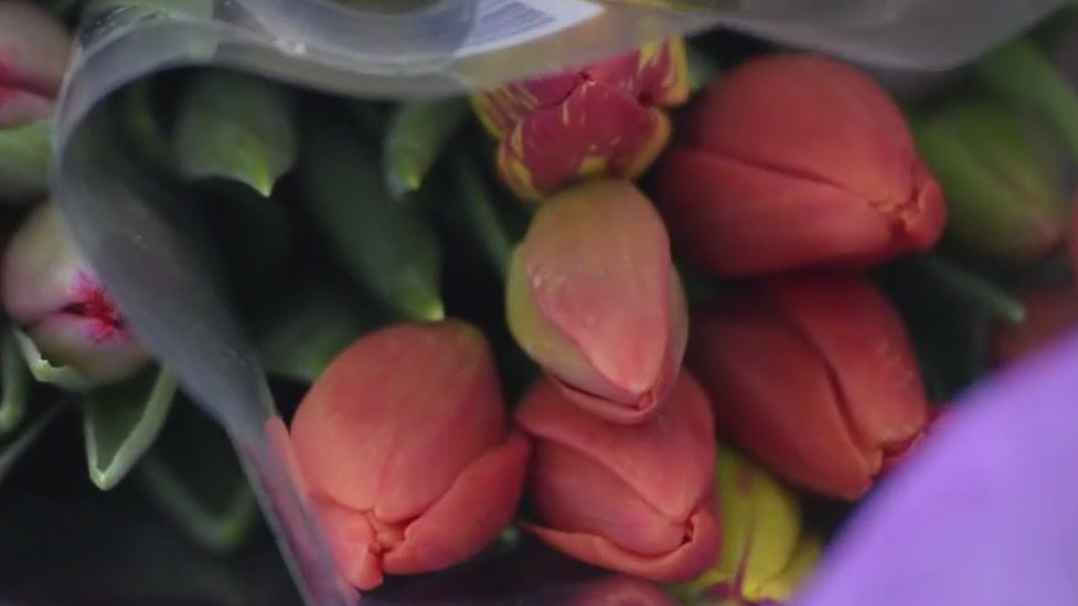 MN flower shop raises money for Burnsville victims