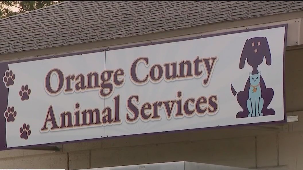 Orange County can't accept animals at shelter