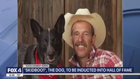 'Skidboot the Dog' to be inducted into hall of fame