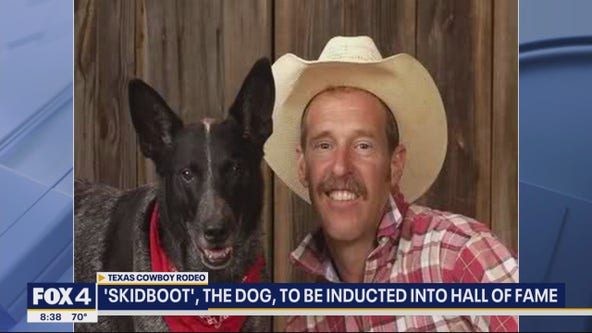'Skidboot the Dog' to be inducted into hall of fame