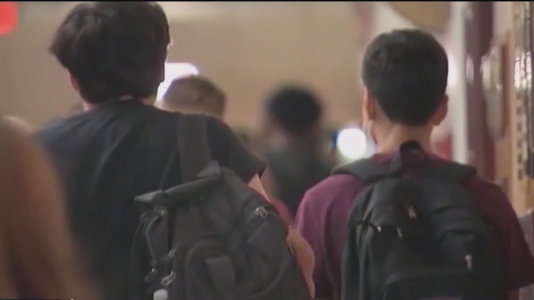 Hillsborough schools property tax vote