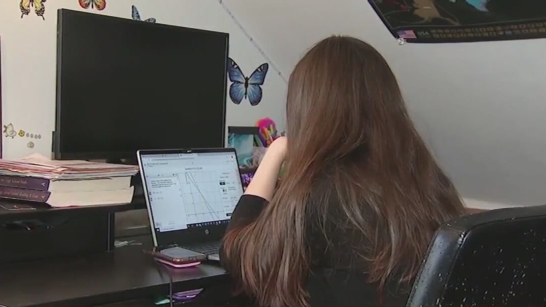 Schools turn to online therapy for students