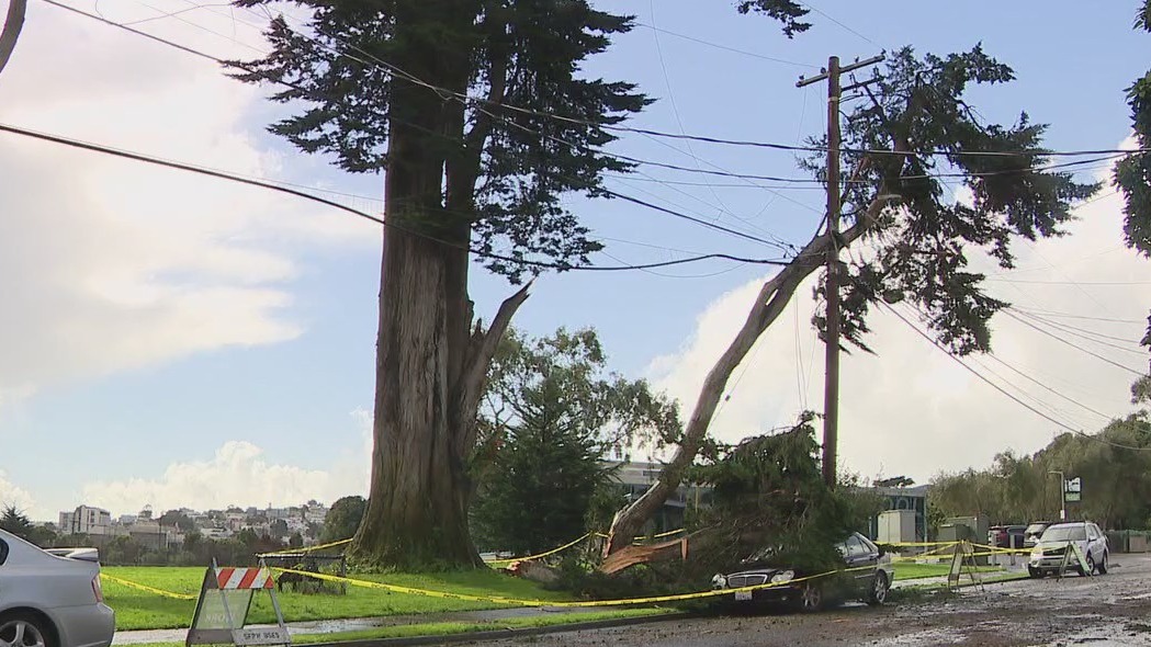 Bay Area cleans up after storm topples trees, causes widespread outages