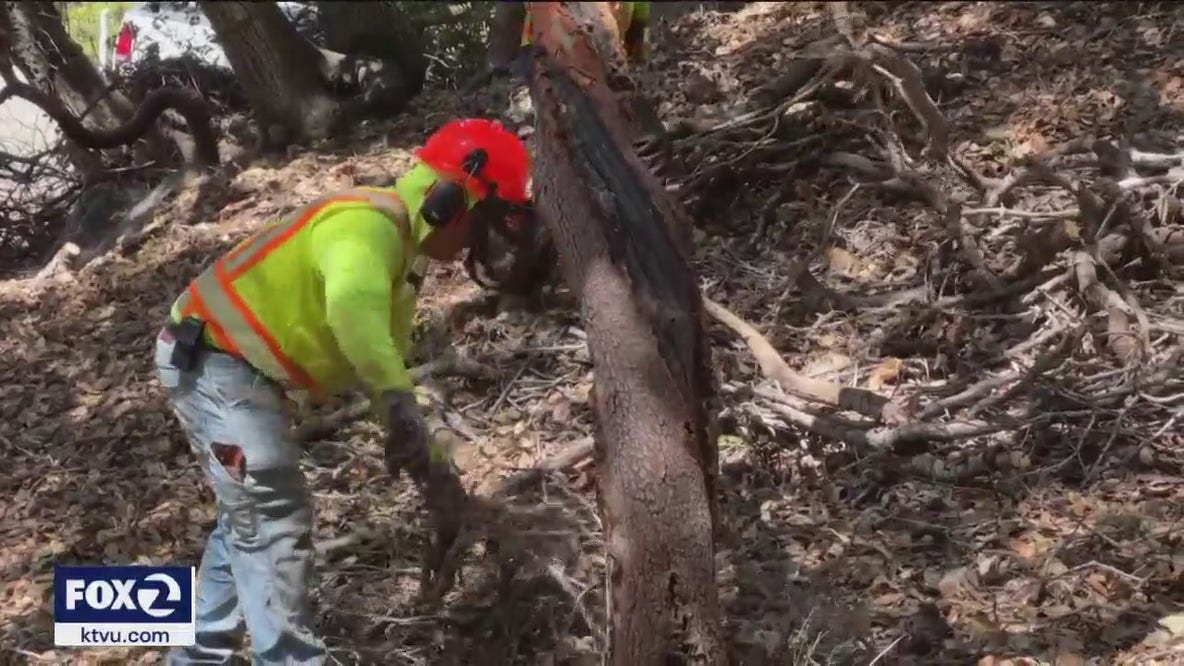 Marin County works to mitigate wildfire danger