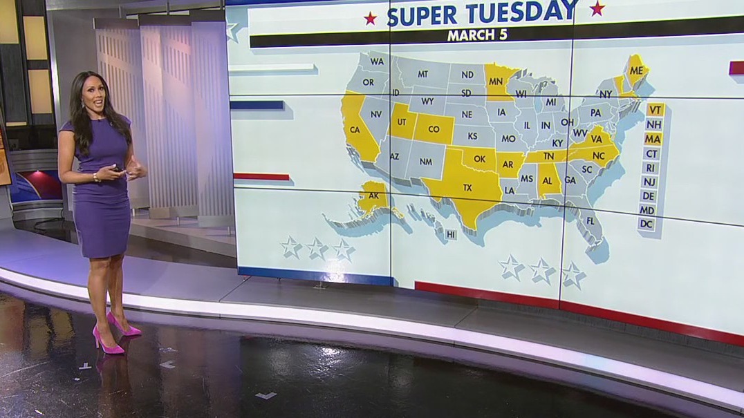 Super Tuesday explained: Statewide, national races