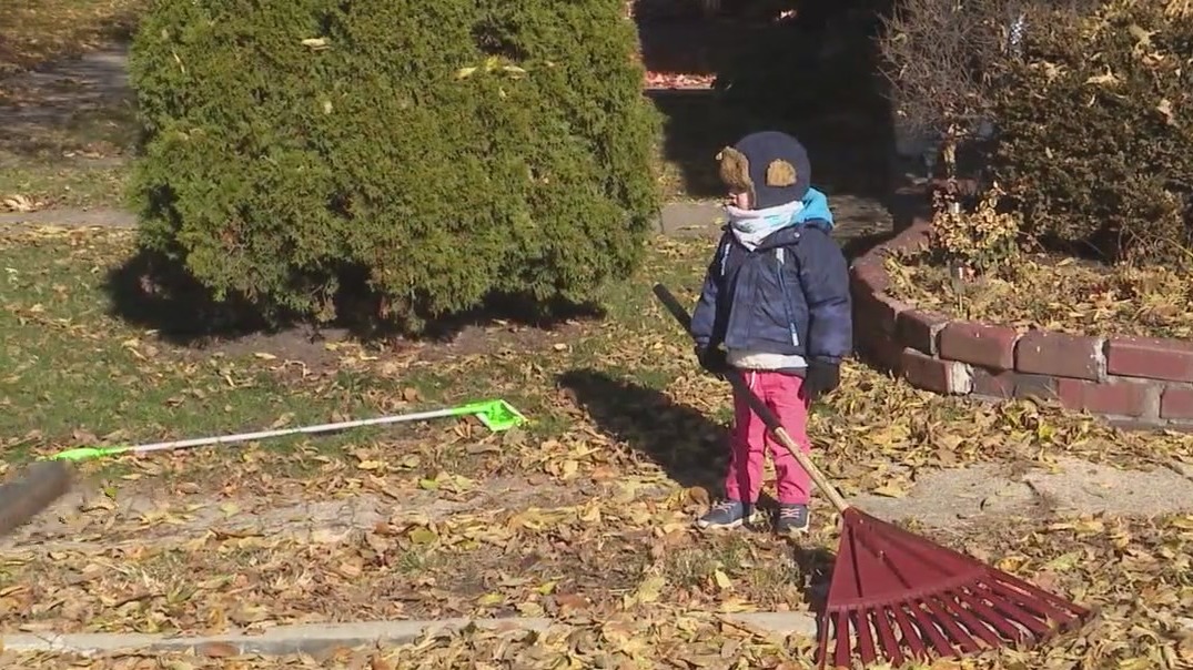 Batavia United Way connects volunteers with people who need leaf raking assistance