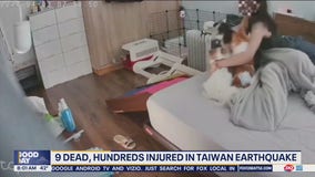 Taiwan earthquake: Woman holds dogs as bedroom shakes violently