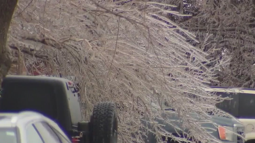 Central Texas residents still cleaning tree debris after severe winter weather