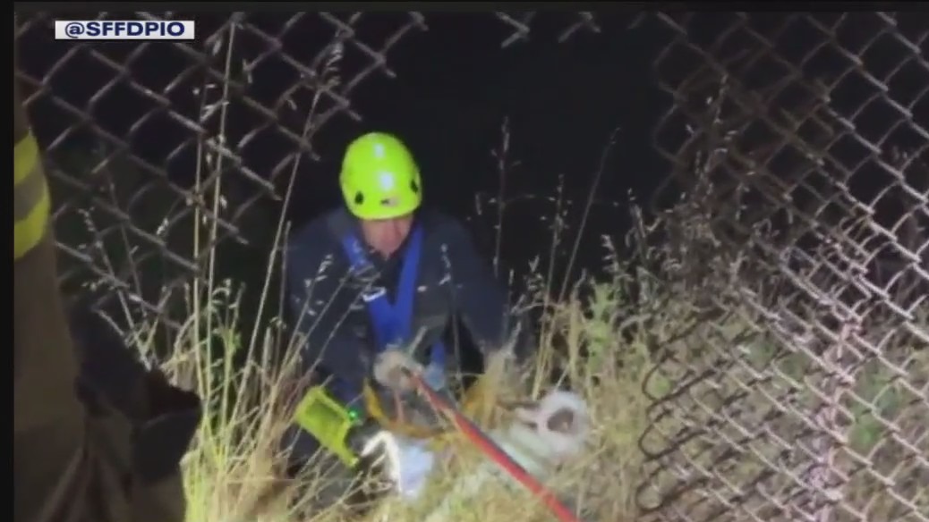 SF fire crews rescue dog chased by raccoons off cliff