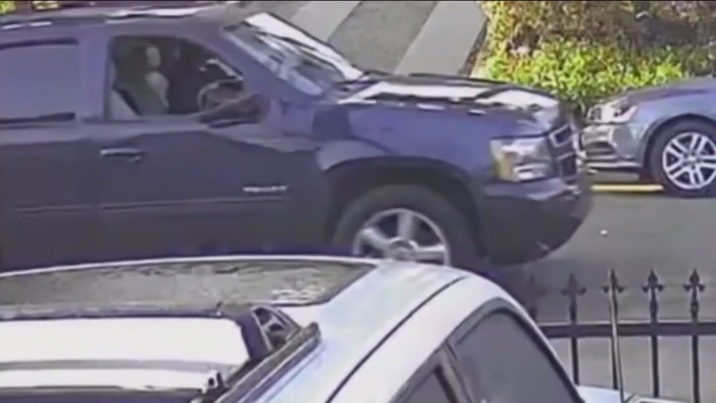 Surveillance video of Mar. 17 deadly Highland Park hit-and-run crash released
