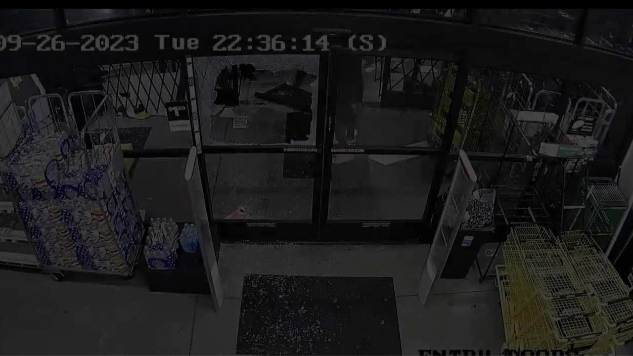 Lancaster Avenue looting video