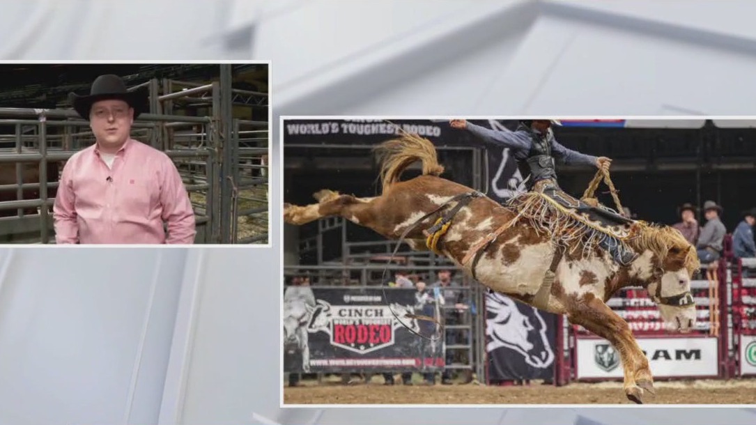 World’s Toughest Rodeo in St. Paul