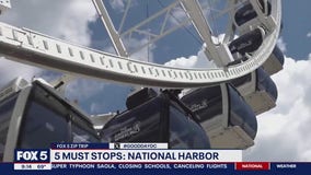 FOX 5 Zip Trip 5 Must Stop to National Harbor!