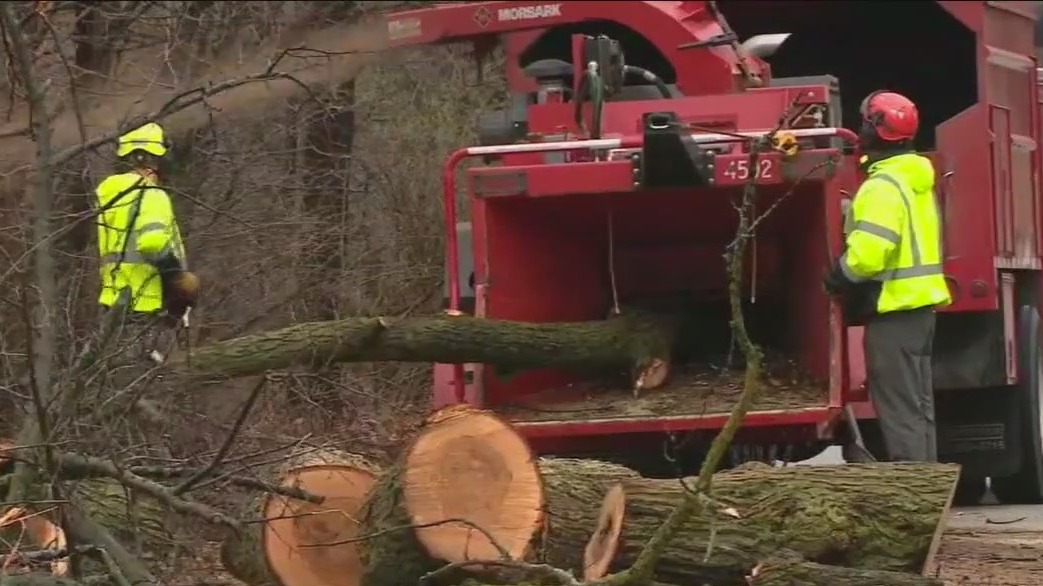 Chicago storm aftermath: Downed trees, flooded streets, and power outages