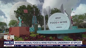 International Food & Wine Festival at Epcot