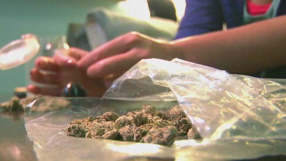 MN House passes new Marijuana proposal