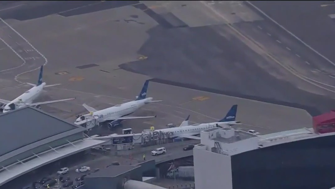 2 planes bump into one another at JFK Airport