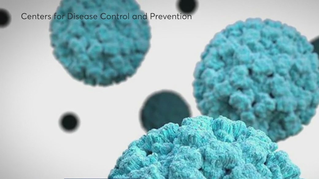 Norovirus concerns