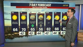 Seattle weather: Brilliant sunshine and summery weather
