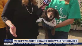 2023 Paws for the Cause Dog Walk kicks off this weekend