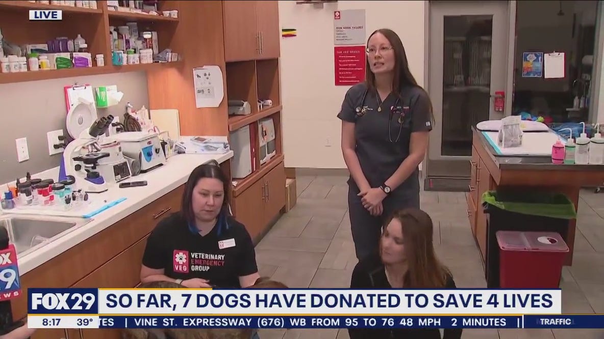 New doggy blood bank opens in Center City