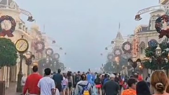Cinderella Castle disappears in intense fog