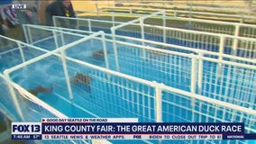 King County Fair: The Great American Duck Race