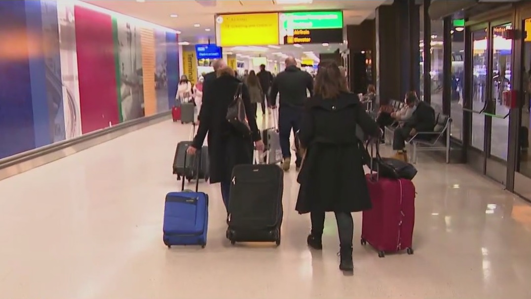 Travel bookings rise as COVID-19 cases decline