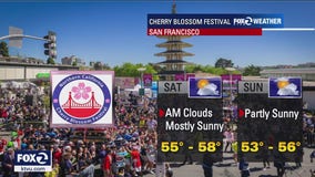 SF Cherry Blossom Festival final weekend