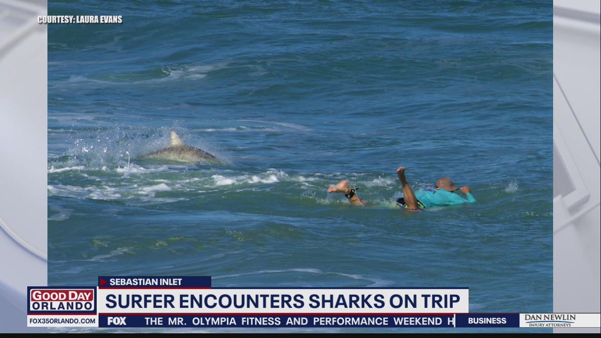 Surfer gets surrounded by sharks in Brevard County