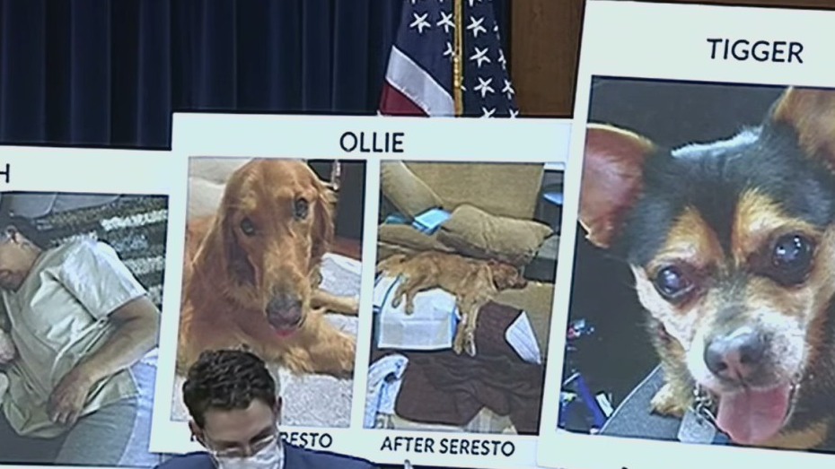 Seresto flea collar linked to pet deaths