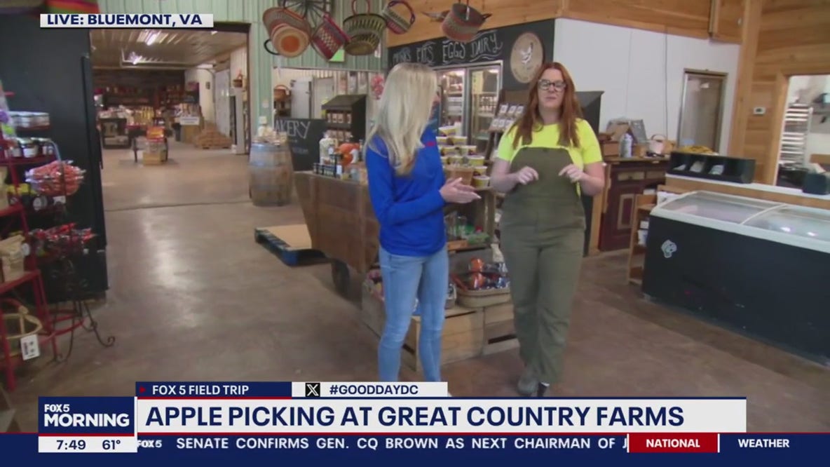 Apple picking and fall fun at Great Country Farms