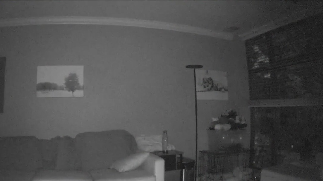 Home camera captures the moment gunfire breaks out in Lake View East
