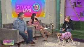 Chatting with the star of 'Roman the Rescue'