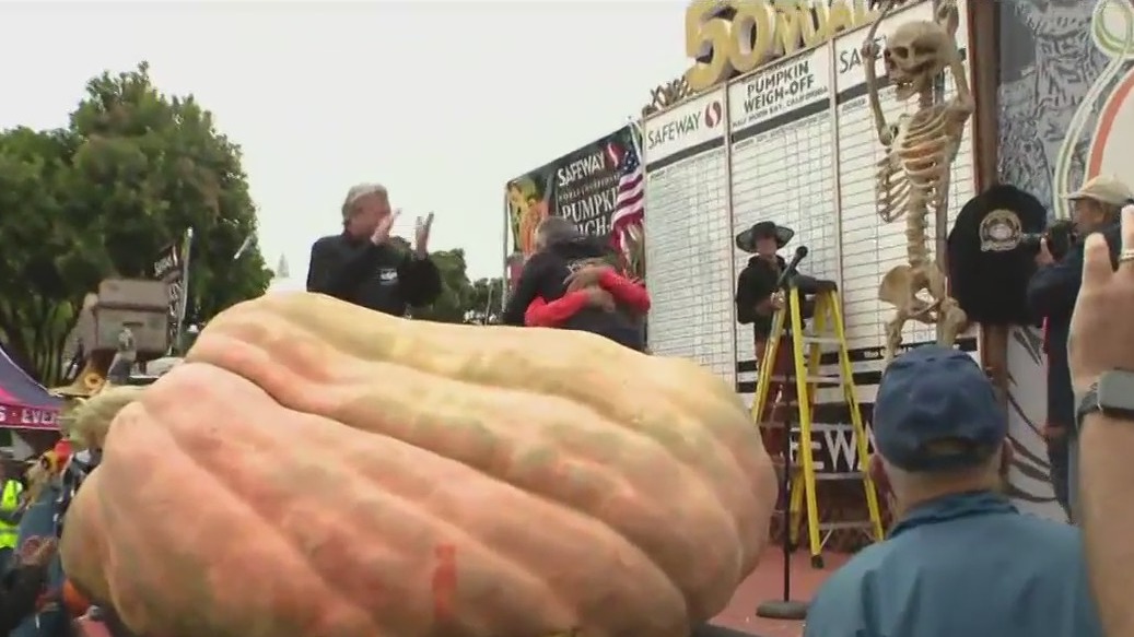 World's largest pumpkin wins Half Moon Bay weigh-off