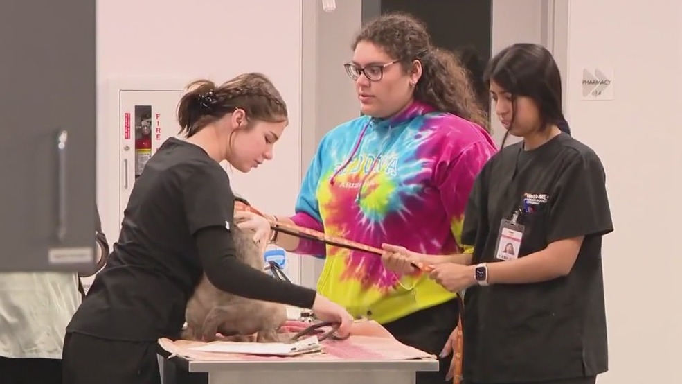 Here's how Valley students are getting hands-on veterinary care training