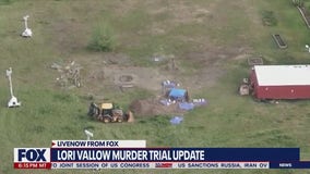 Lori Vallow murder trial: Tammy Daybell's sister testifies, DNA found on pickaxe