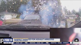 Wild chase caught on camera in Thurston County