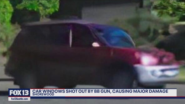 Suspect in SUV damages multiple cars with BB gun in Shorewood